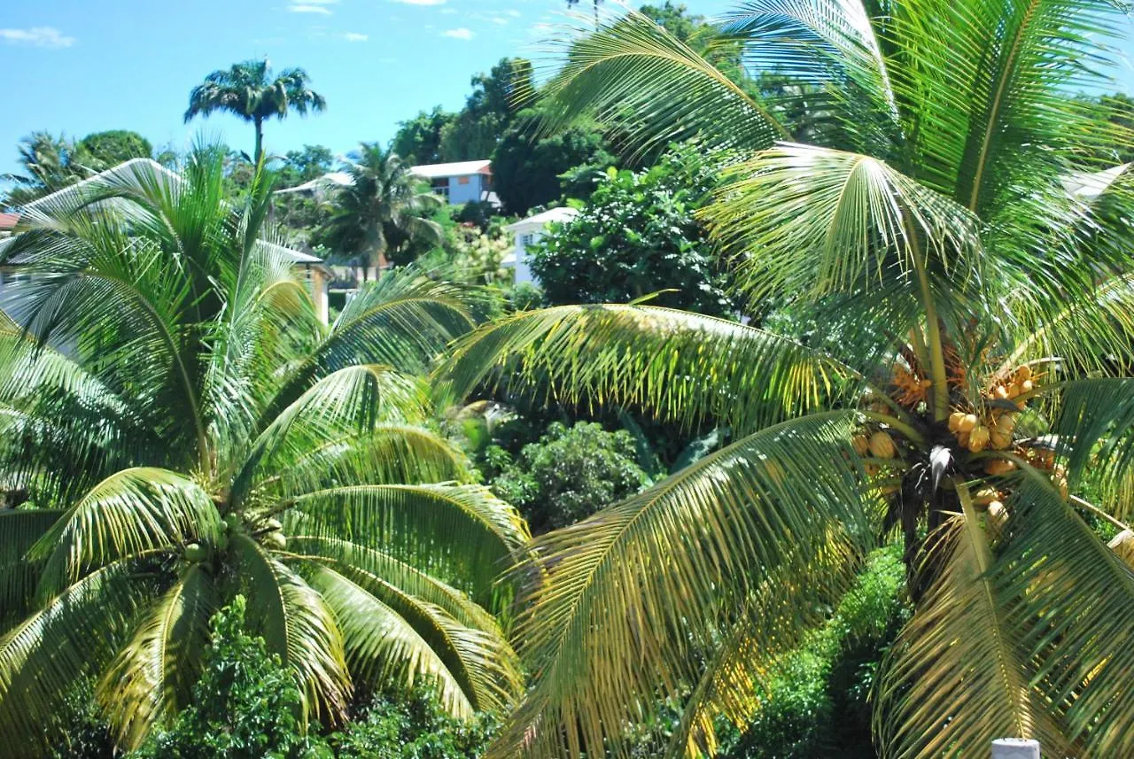 Séjour chez l'habitant La Dicossine - La Guadeloupe Au Naturel ;) Les Abymes